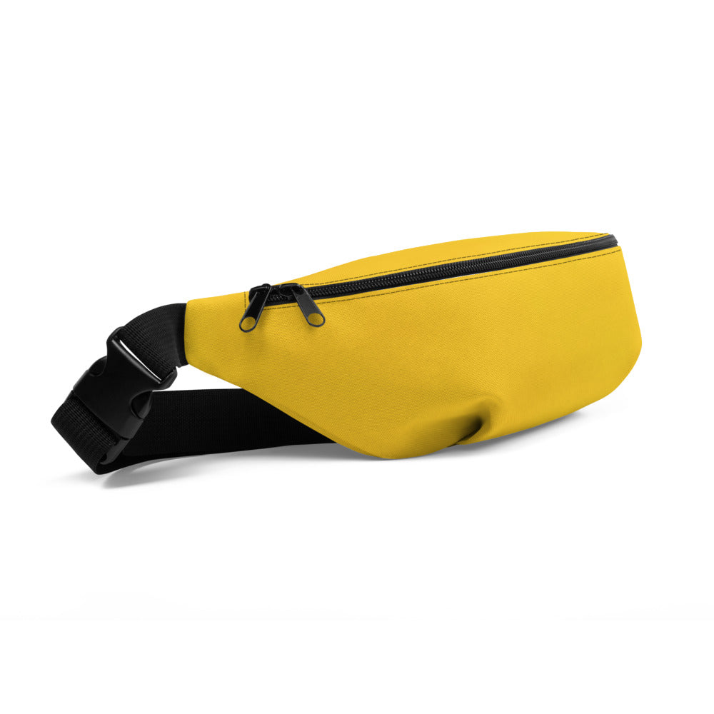 Mango hotsell fanny pack